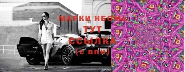 дмт Протвино